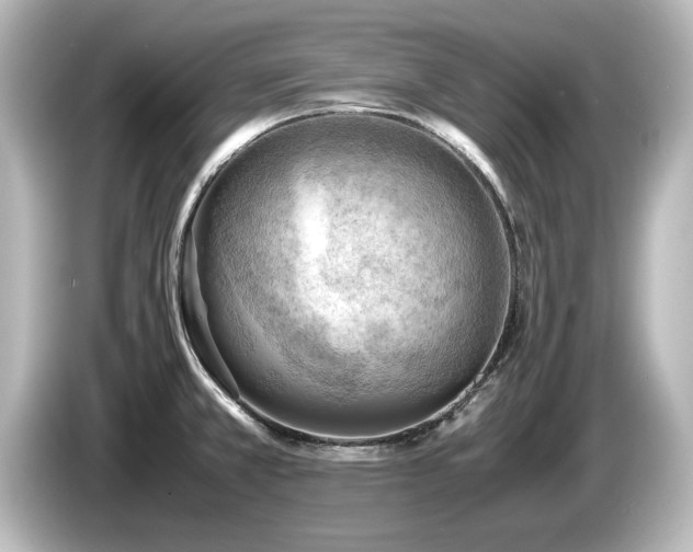 X0000085741381200703161018
