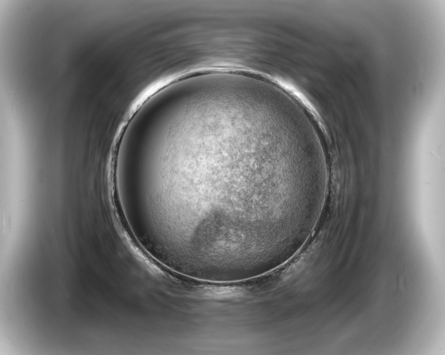 X0000085741382200703161018