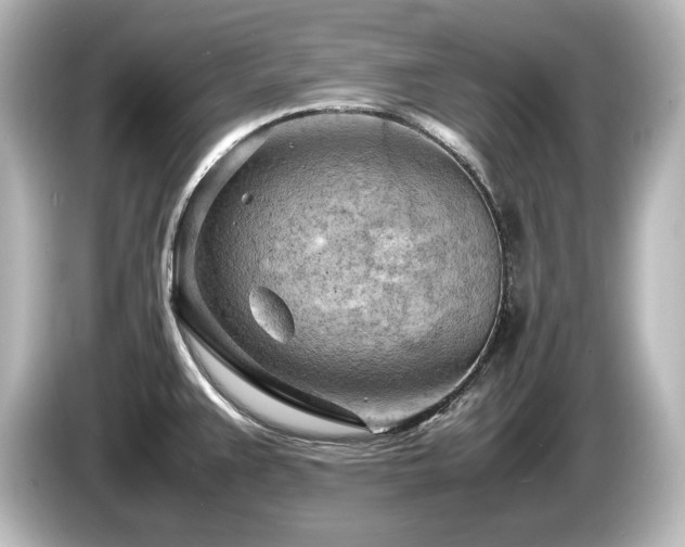 X0000085741383200703161018