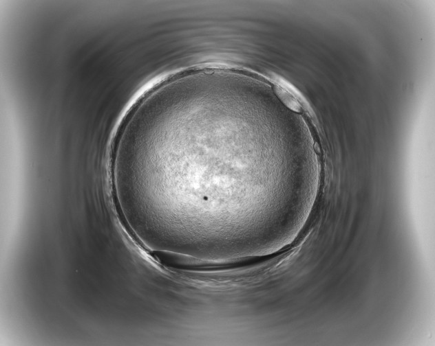 X0000085741384200703161018
