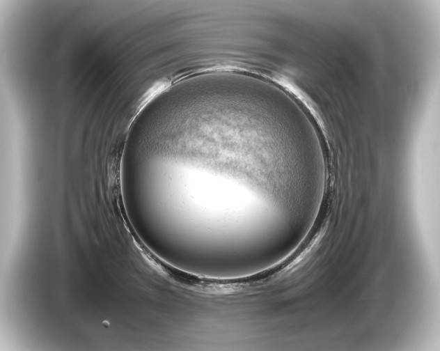 X0000085741385200703161018