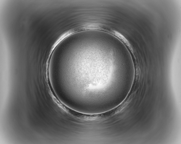 X0000085741386200703161018