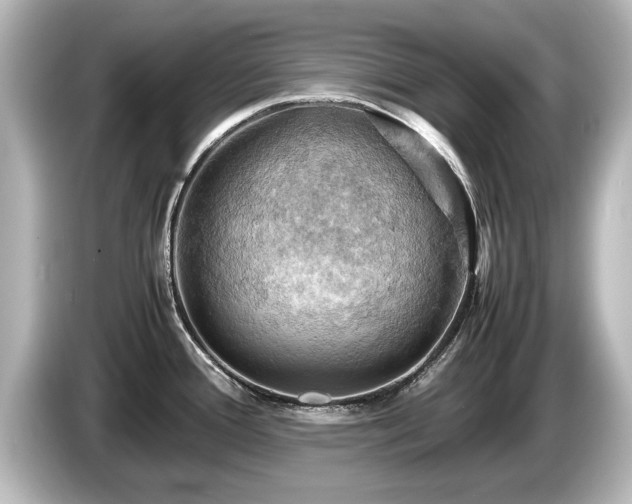 X0000085741388200703161018