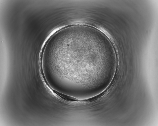 X0000085741392200703161018
