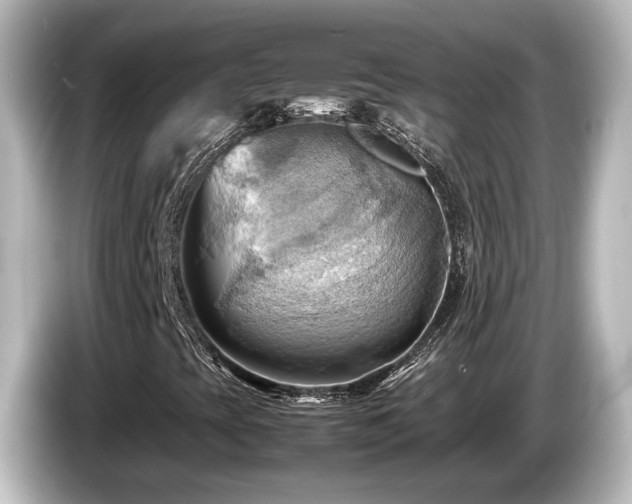 X0000085741393200703161017