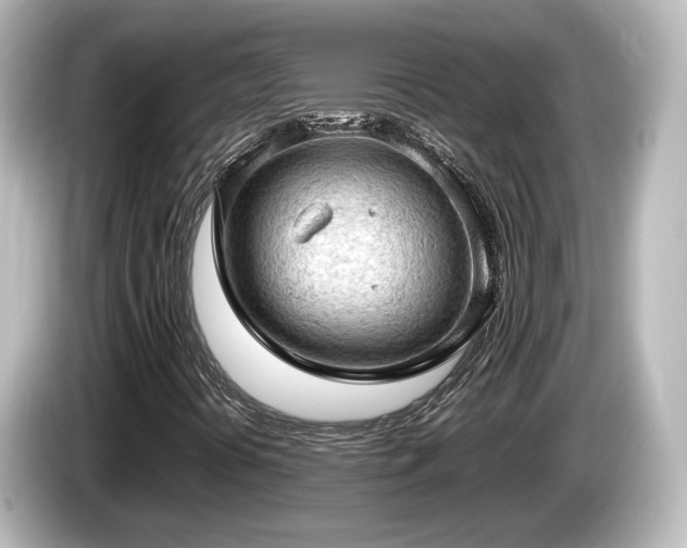X0000085741394200703161017