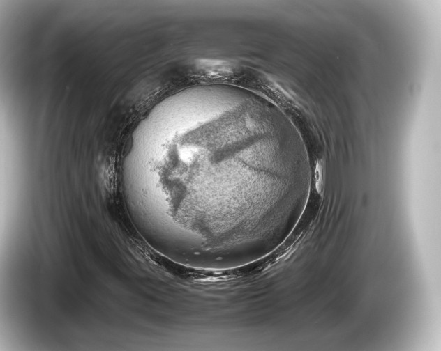 X0000085741395200703161017