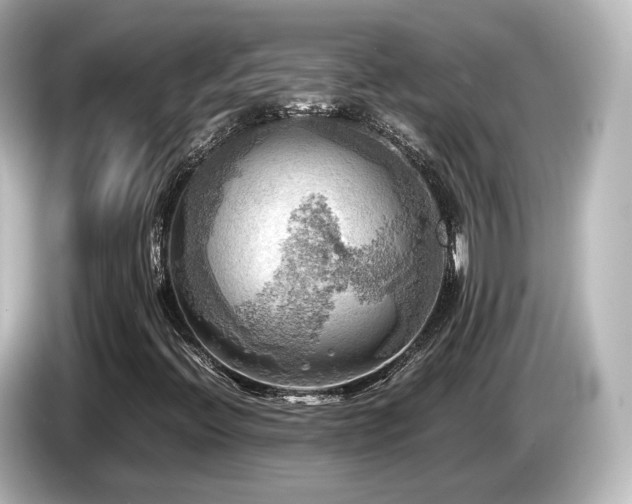 X0000085741396200703161017
