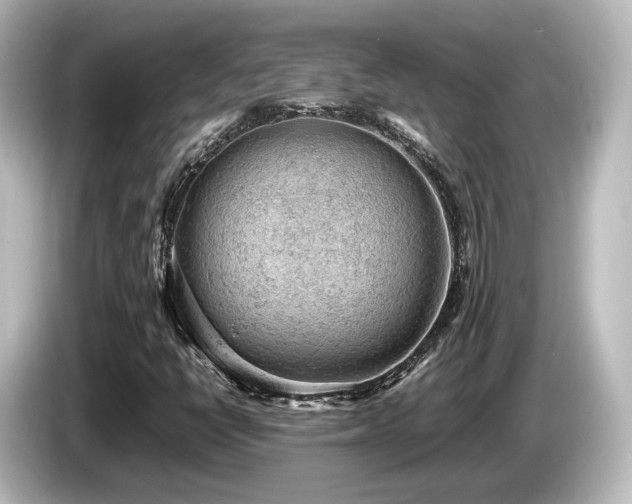 X0000085741398200703161017