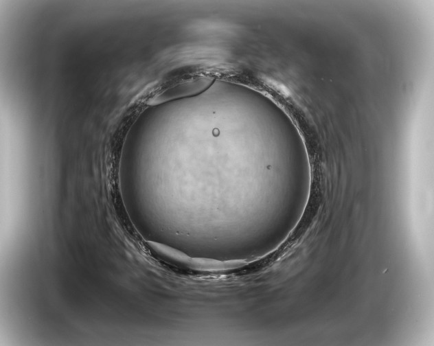 X0000085741399200703161017