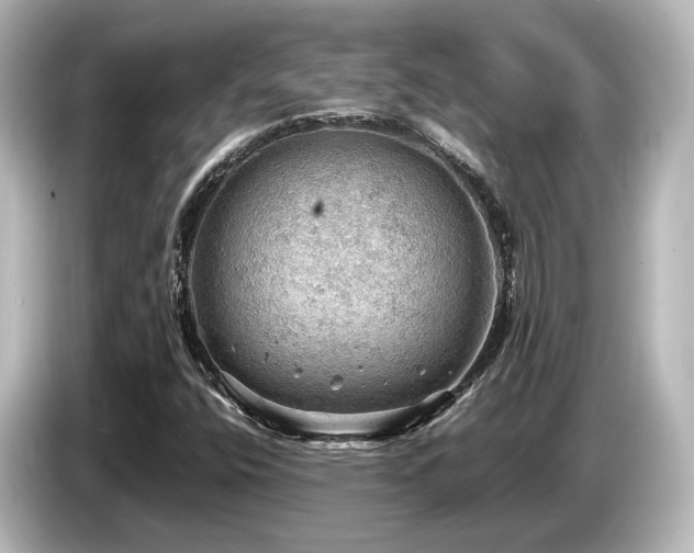 X0000085741400200703161017