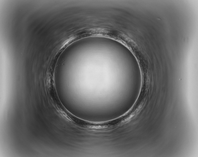 X0000085741401200703161017