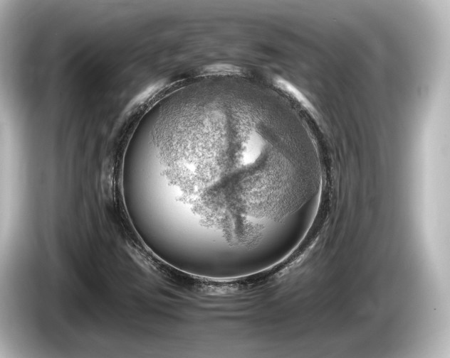 X0000085741403200703161017