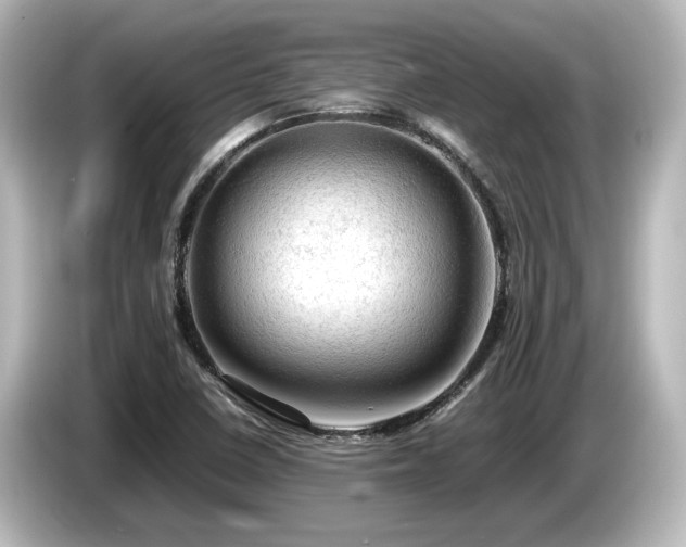 X0000085741410200703161017