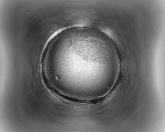 X0000085741412200703161017
