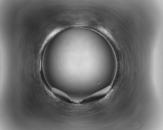 X0000085741413200703161017
