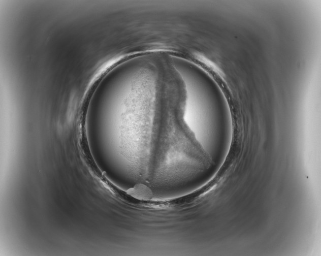 X0000085741415200703161017
