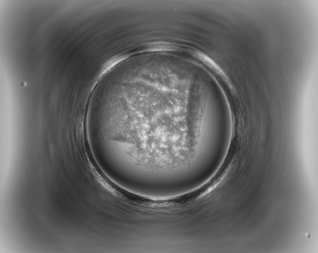 X0000085741417200703161017