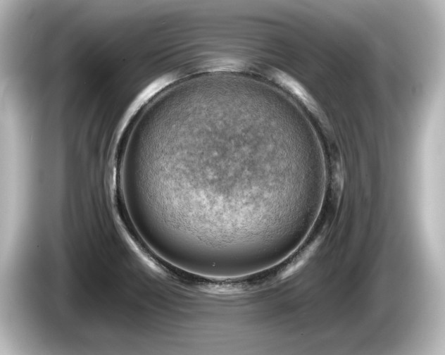 X0000085741418200703161017