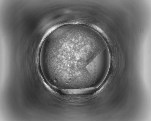 X0000085741421200703161018