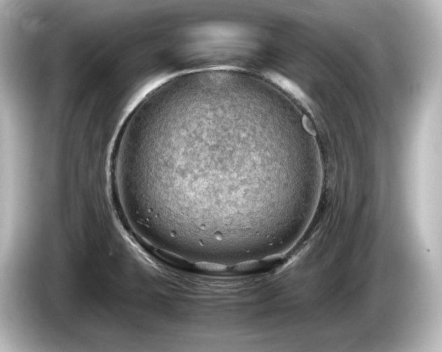 X0000085741423200703161018