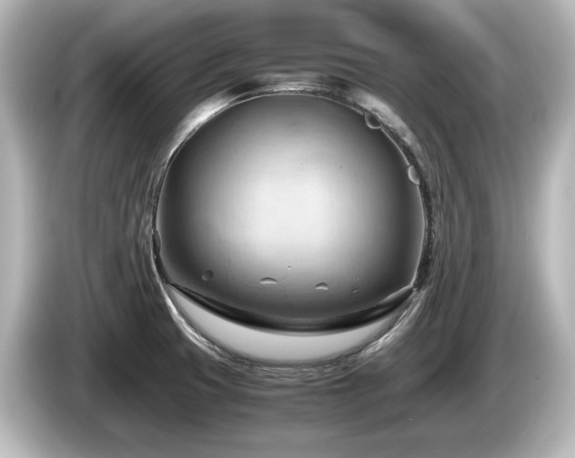 X0000085741425200703161018