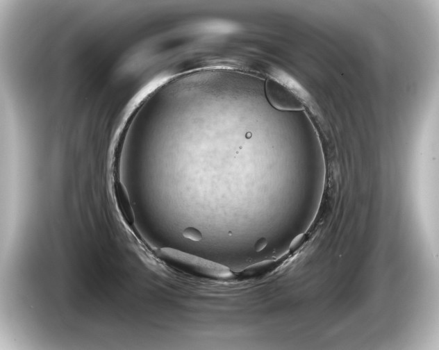 X0000085741427200703161018