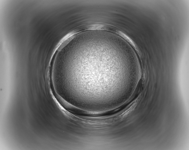 X0000085741434200703161018