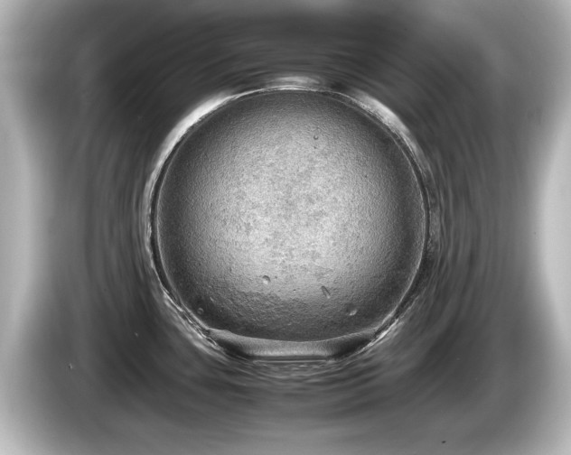 X0000085741435200703161018