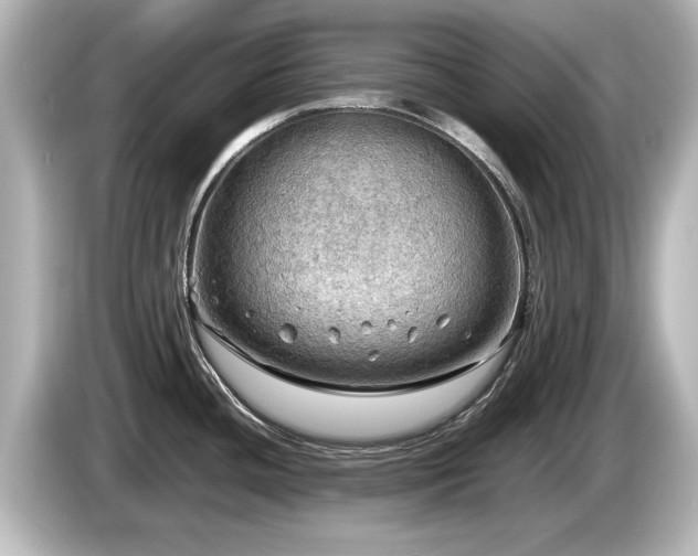 X0000085741436200703161018