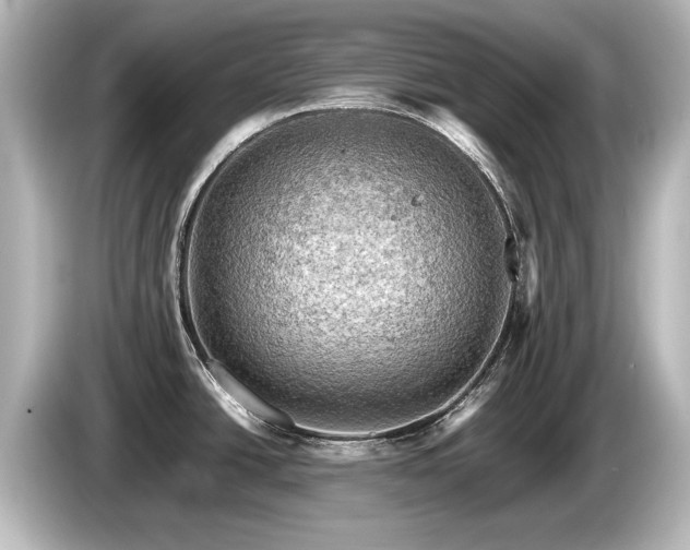 X0000085741438200703161018
