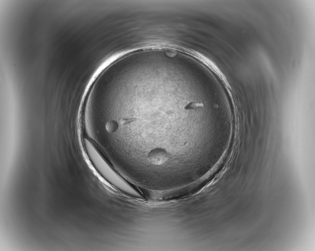 X0000085741440200703161018