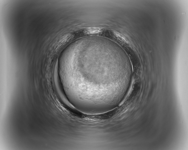 X0000085741441200703161017
