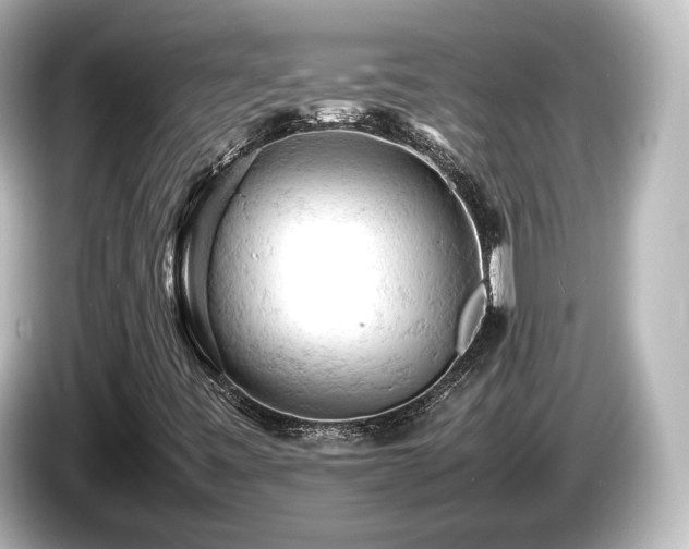 X0000085741443200703161017