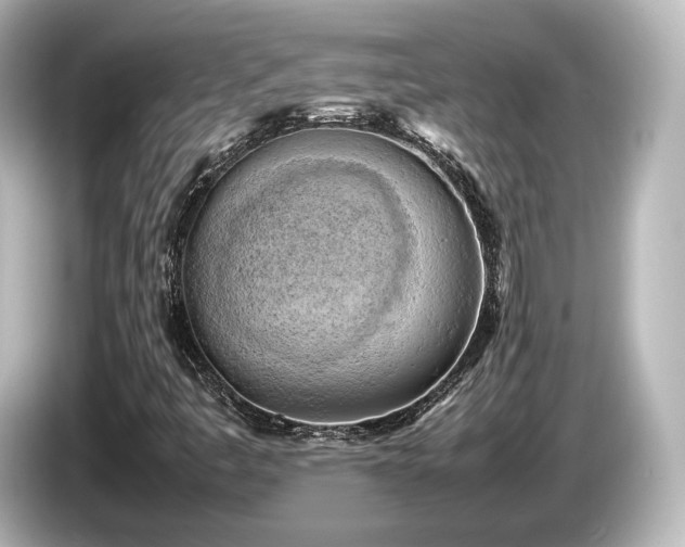 X0000085741445200703161017