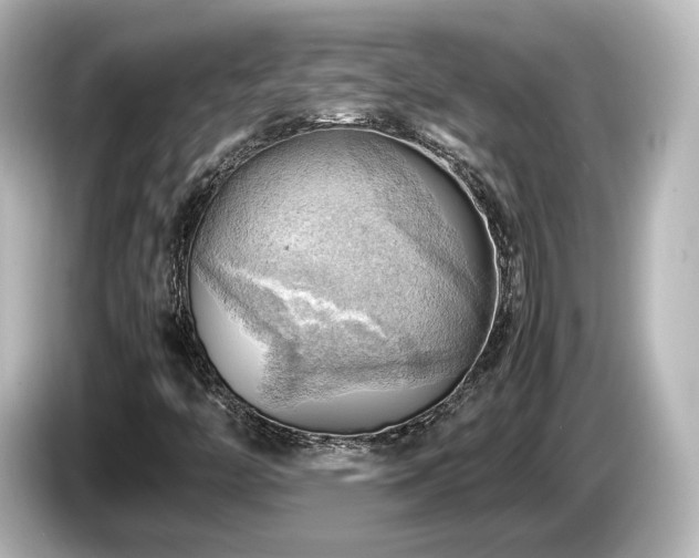X0000085741446200703161017