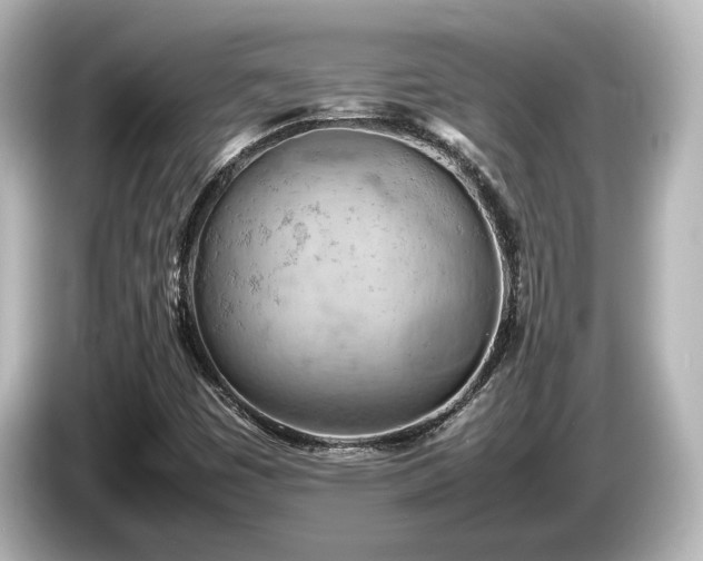 X0000085741449200703161017