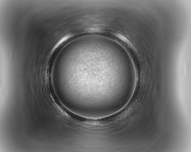 X0000085741450200703161017