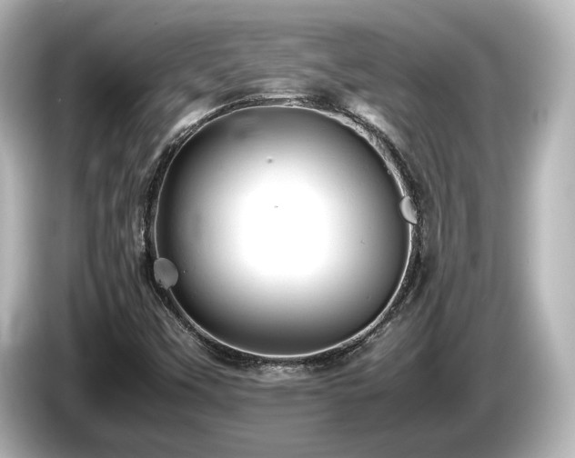 X0000085741451200703161017