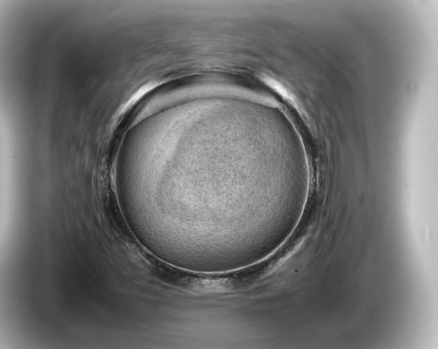 X0000085741453200703161017