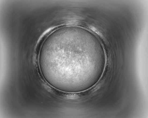 X0000085741454200703161017