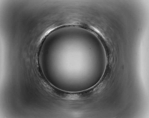 X0000085741455200703161017