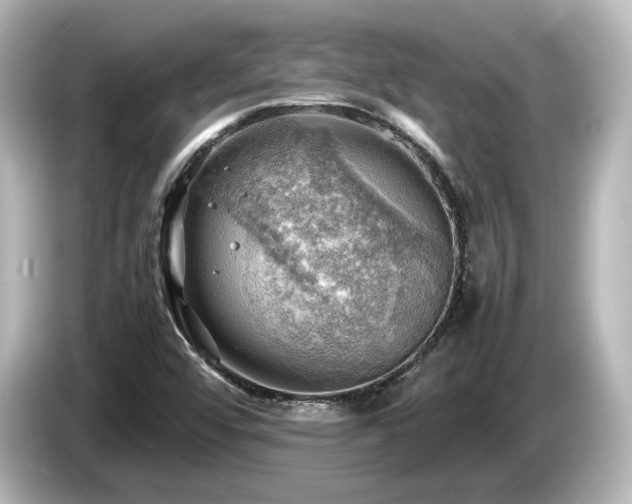 X0000085741456200703161017