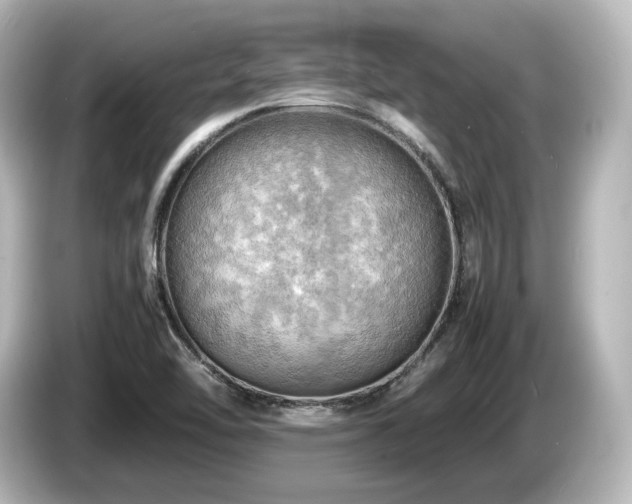 X0000085741462200703161017