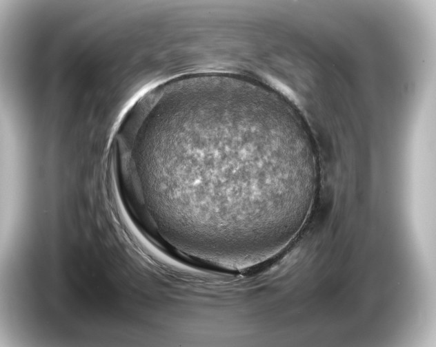 X0000085741463200703161017