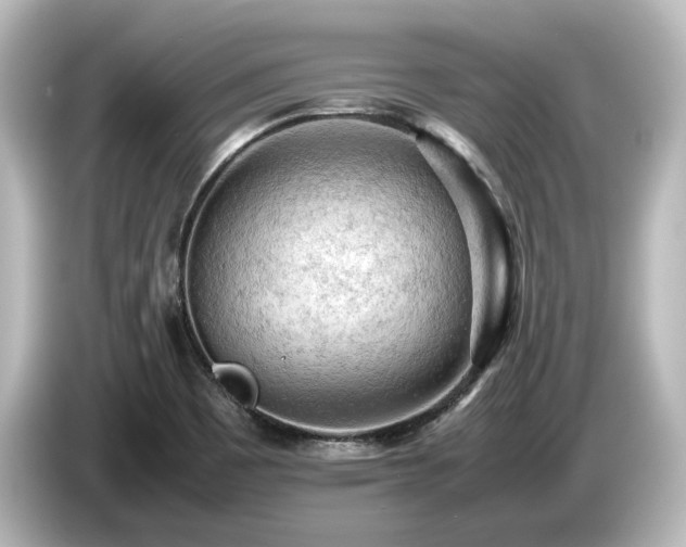 X0000085741465200703161017