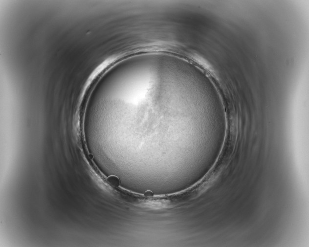 X0000085741466200703161017