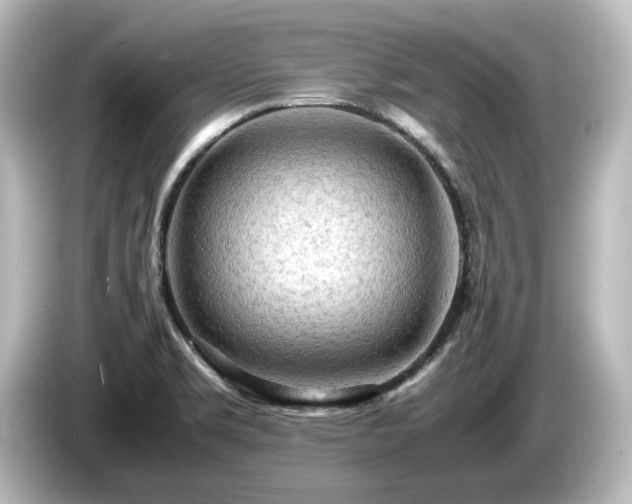 X0000085741469200703161017