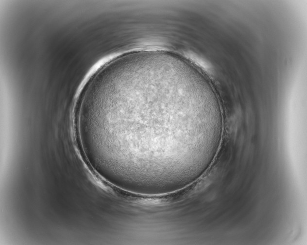 X0000085741470200703161017