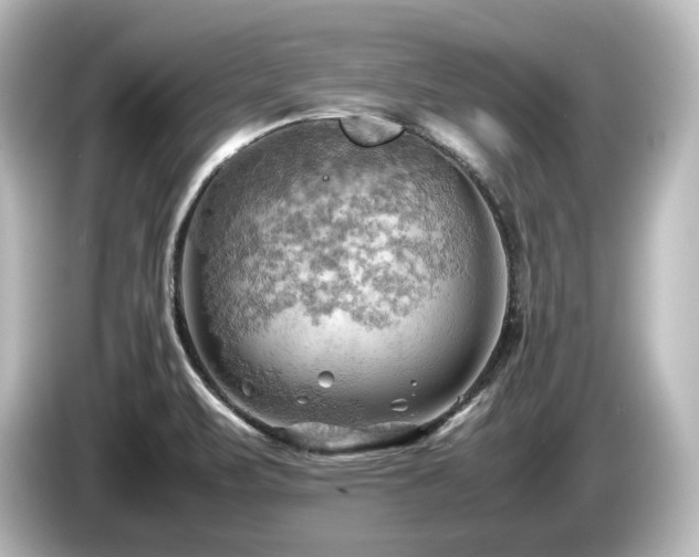 X0000085741471200703161017